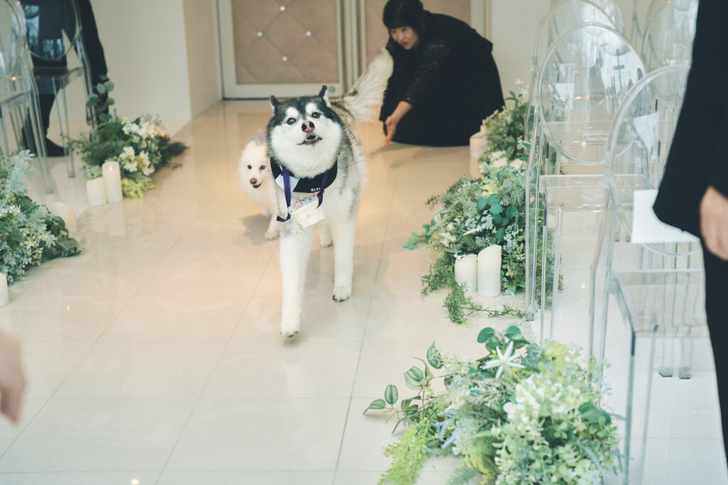 大切なペットと一緒に貸切Wedding