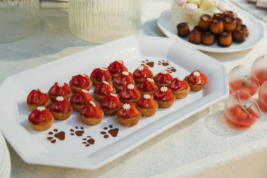 大切な家族と迎えるペットWedding